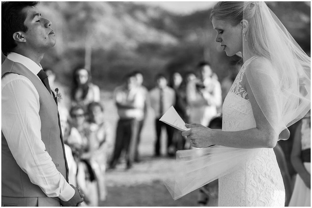 Best-Wedding-Moment-2015_0020