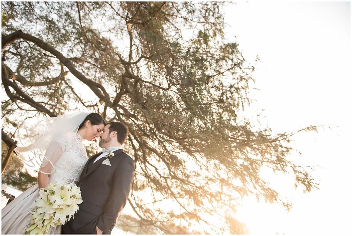 Best-Wedding-Portrait-2015_0037