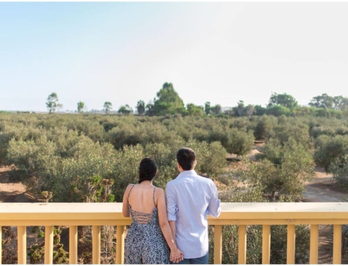 Olive Farm Engagement Session