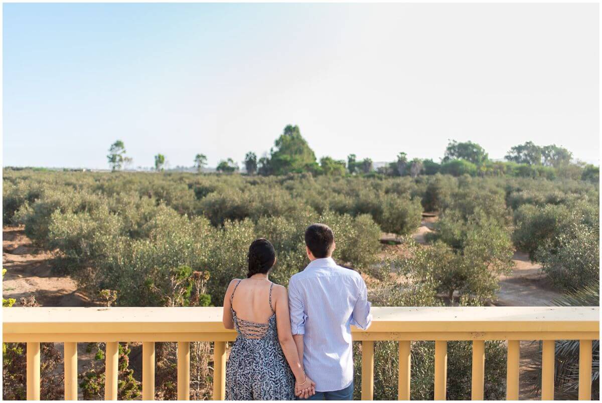 olive-farm-engagement_0001