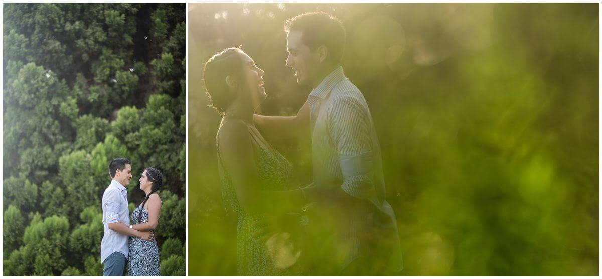 olive-farm-engagement_0005