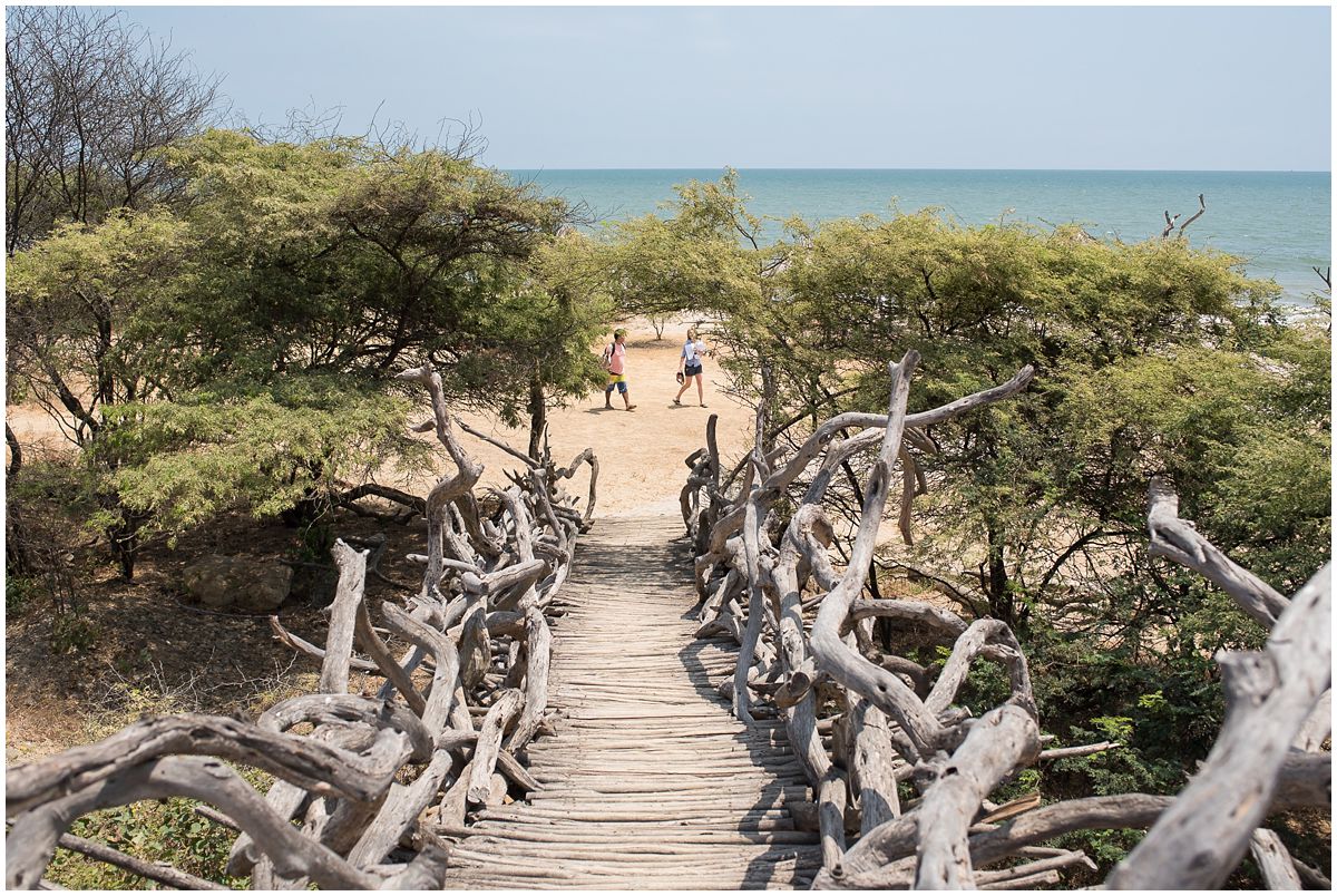 small-destination-beach-wedding_002